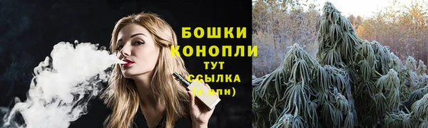 индика Михайловка