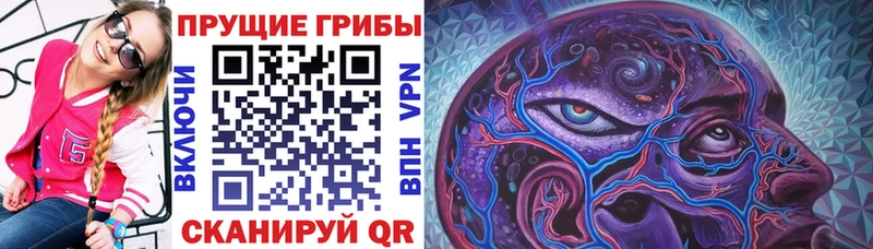 Галлюциногенные грибы MAGIC MUSHROOMS  Алапаевск 